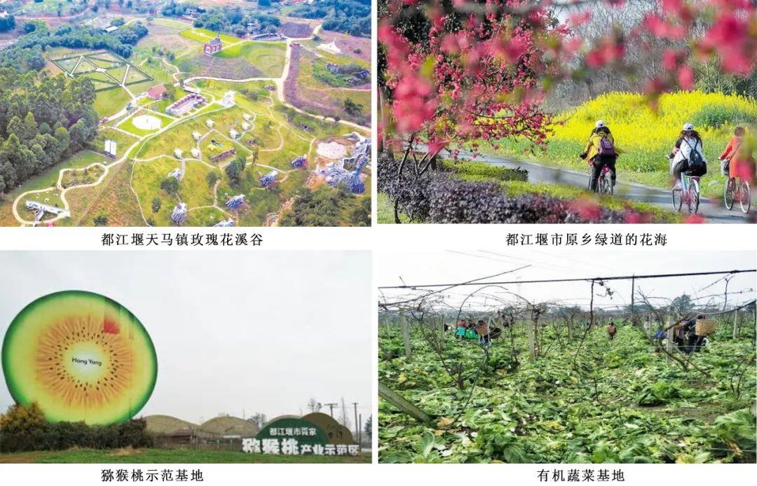 中国·388vip太阳集团(Macau)有限公司-官方网站